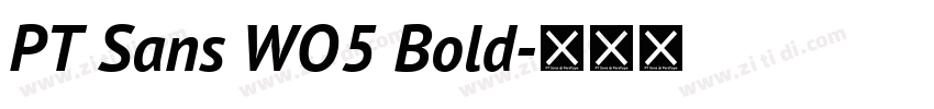 PT Sans WO5 Bold字体转换